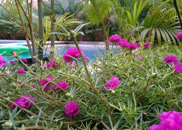 Hotel Cove Tevana Seminyak (Bali)